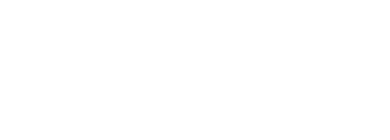 project-logo